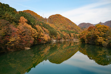鬼怒川の紅葉