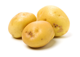 New potato isolated on white background 