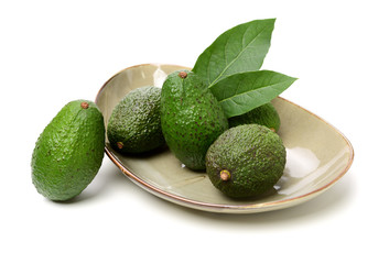 Avocado on a white background