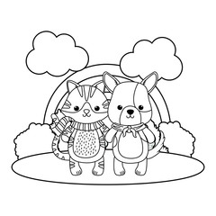 Cat and dog cartoon design