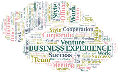 Business Experience word cloud. Collage made with text only.