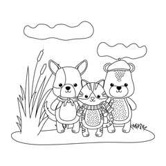 Cat dog and bear cartoon design