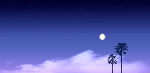 Obraz na płótnie Canvas 黄昏時の月明かりとヤシの木（背景は満天の星）