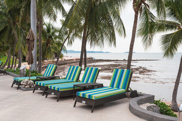 Rows of sun lounge with folded umbrella and coconut trees on seaside