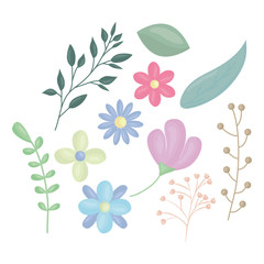Fototapeta na wymiar flowers and leafs decoration vector illustration