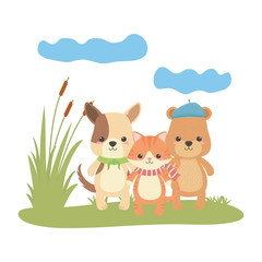 Fototapeta premium Cat dog and bear cartoon design