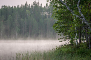 Fototapety  Mglisty poranek nad fińskim jeziorem w lesie i dziczy, Finlandia
