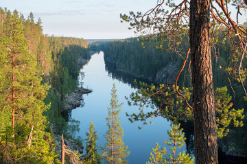 Julma-Ölkky: River in a canyon in the boreal forest in evening light, National Park Hossa Finland