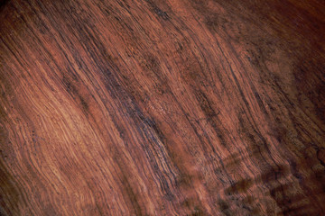Wood, wood texture backbackground, old wood, wood texture vintage style