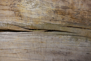 Fototapeta premium Wood, wood texture backbackground, old wood, wood texture vintage style