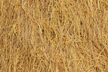 Straw, dry straw texture background