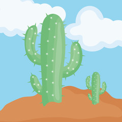 exotic cactus plants in the desert