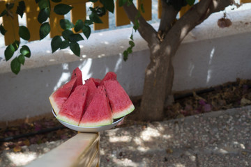 Fresh ripe sliced watermelon on green tree background