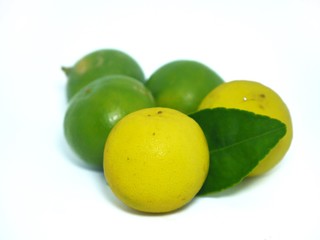 lemon and lime on white background
