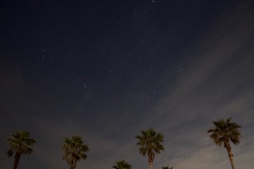 ヤシの木と満点の星空