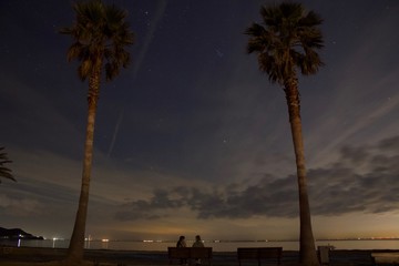 ヤシの木と満点の星空