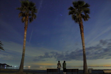 ヤシの木と満点の星空