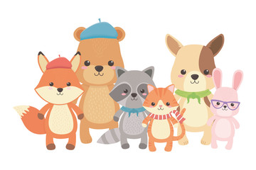 Cat fox raccoon bear dog and rabbit design