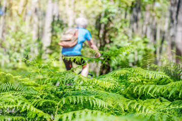 retraité se promenant à vélo dans la magnifique forêt des Landes