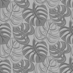 Monstera leaves seamless pattern vector design. Gray colors plant background