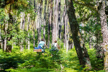 couple se promenant dans une magnifique forêt