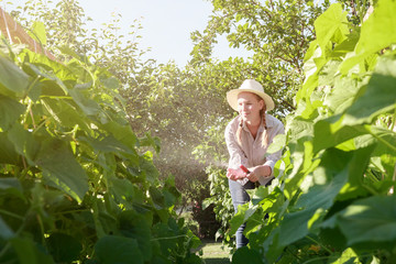 Younger agronomists investigate plants and diseases in the greenhouse, take care of the plants, water, harvest, the idea of agriculture and technology.Agritech