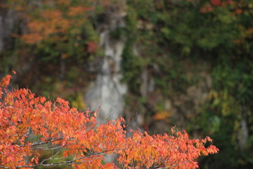 鳴子峡　紅葉