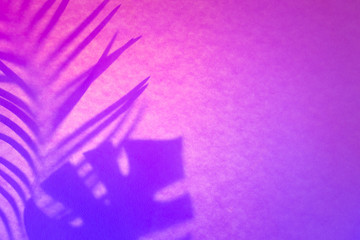Abstract tropical background in violet neon colors. Leaf shadow in trendy duotone backlight