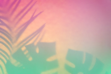 Abstract tropical background in pastel colors. Leaf shadow in trendy duotone backlight
