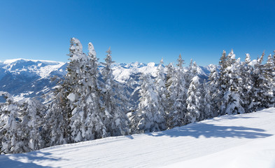 Fototapeta na wymiar Winter landscape with snow trees and mountains, alps mountains
