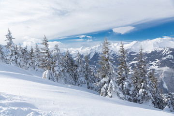 Fototapeta na wymiar Winter landscape with snow trees and mountains, alps mountains
