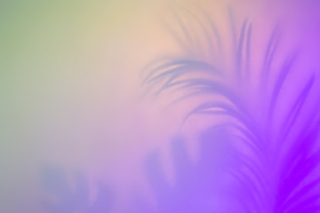 Abstract tropical background in pastel colors. Purple palm leaf silhouette