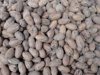 Nueces