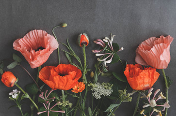 Flowers herbarium on vintage background. Floral art. Floral design. Botanical background. Poppies flowers