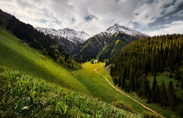 Beautiful landscape of mountains