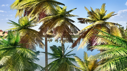 Obraz na płótnie Canvas Palm trees near oasis in Africa 3d rendering