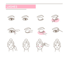 lashes
