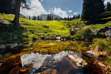 Lake in the mountain