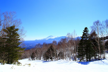 スキー場の風景　浅間山