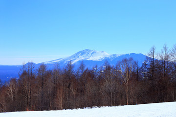 Fototapeta premium スキー場の風景 浅間山
