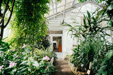 Botanischer Garten Greifswald im Juni 2019
