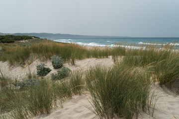 Sand dunes on the beach in Italy