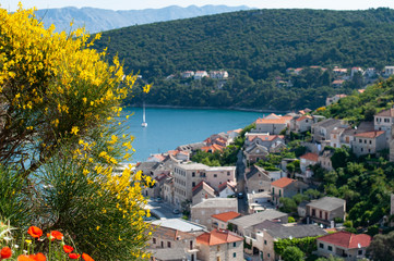 Fototapeta na wymiar View of old European city in Croatia and the blooming acacia, the theme of tourism