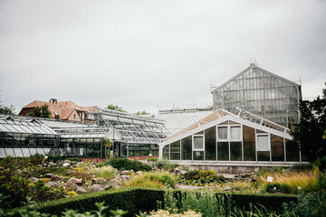 Botanischer Garten Greifswald im Juni 2019