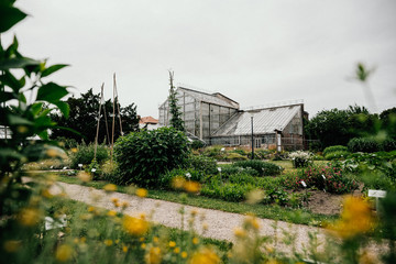 Botanischer Garten Greifswald im Juni 2019