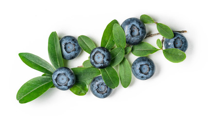 Ripe blueberry berries with green leaves on a white background