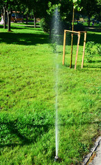 Fototapeta premium The system of watering plants in parks