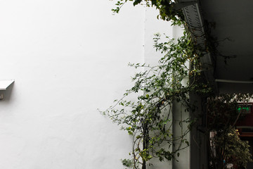 Vintage Building Detail