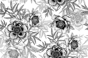 Fototapety  Seamless pattern with peonies and leaves. Black and white.