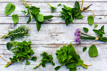 Frame from fresh herbs prepared for drying.